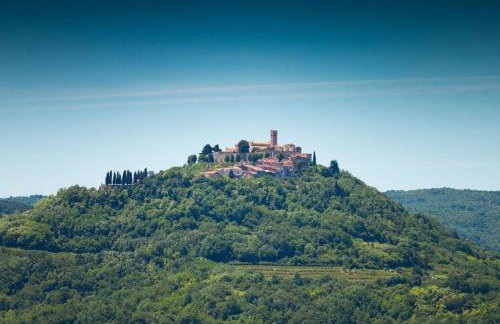 Authentic Villa Banić - Foto 89
