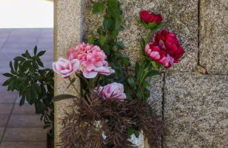 Quinta das Regueiras - Foto 30