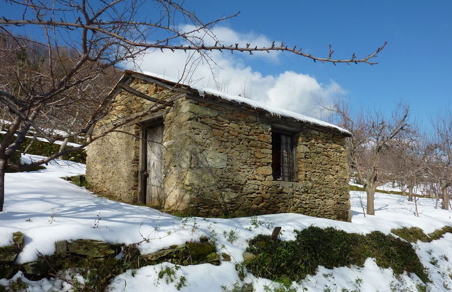 Villa Thea - Foto 37