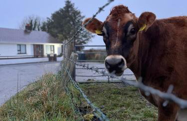 Olivia-Leigh Cottage - Foto 38