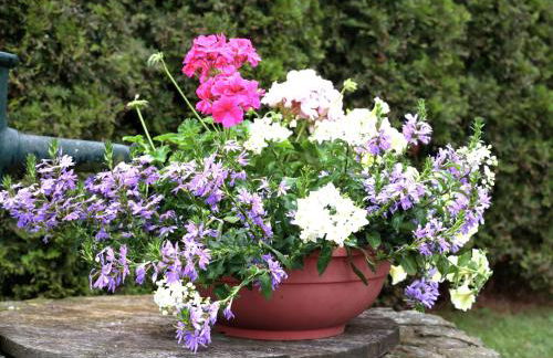 Ferienwohnung im Sauerland - Foto 42