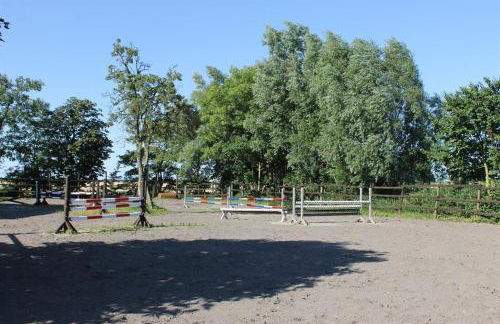 Tetenshof für Pferdeliebhaber - Foto 19