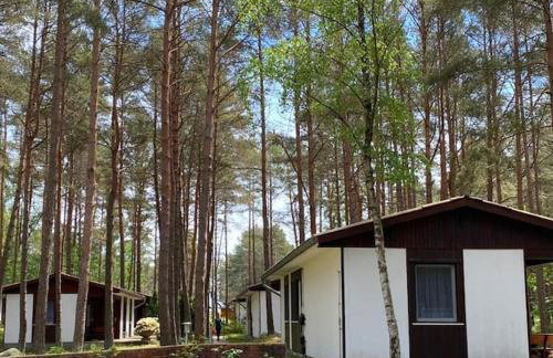 Bungalow im Kiefernwald direkt an der Ostsee (a) - Foto 17