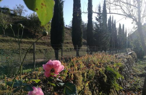 Podere Groppini - Foto 52