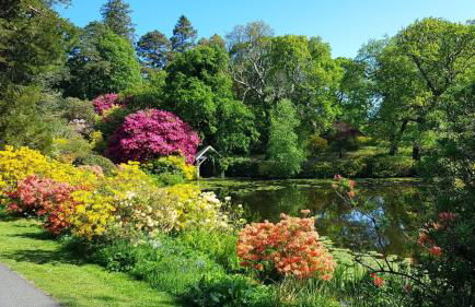 Dairy Cottage with sea views - Foto 15