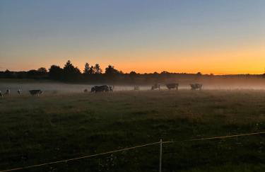 Przystanek Gałkowo - Foto 68