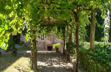 Il Borgo di capannole, Il Giorgio - Foto 7