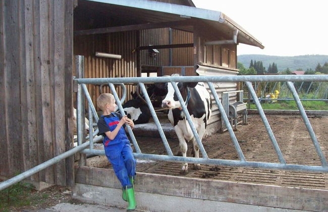 "hochstein" Modern Retreat - Foto 13