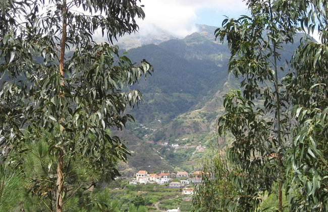 Experiencia a pie en el valle de la Serra D'Água - Foto 5