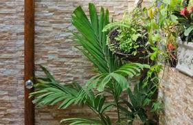 Ôxente que lugar arretado! - Photo 34