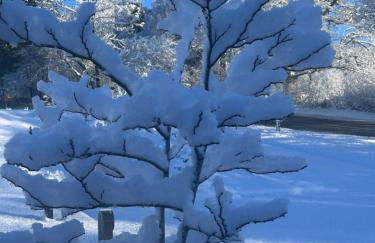 Ty Mawr, The Old School Holiday Homes - Pet Friendly - Foto 53