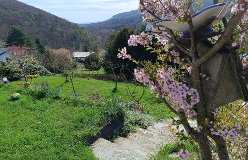 Ferienwohnung zum Märchenwald - Foto 36