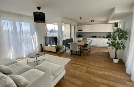 Penthouse Rhein-Main - Photo 1