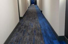 Lux House Of Champagne 2BR 2BA Free Parking & Wifi - Photo 20