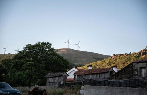 Casa da Ferreira_Vila Real - Foto 34