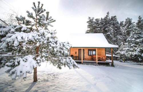 Leśna 21 Dom Północ przy PUSZCZA BIAŁOWIESKA - Foto 75