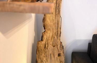 Andalo Mountain L'Abete Dolomites - Foto 9