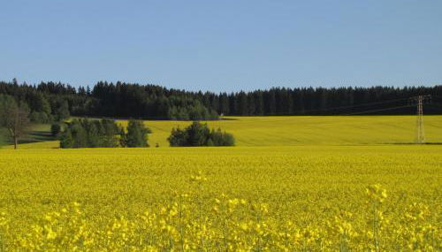 Stollenklause - Foto 5