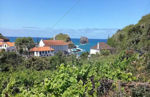 Holiday Home in Porto da Cruz With Garden - Foto 44