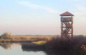 La Tomina - Photo 12