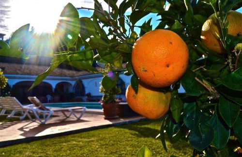 CASA MICHAEL - El Paraiso, Marbella - Photo 5