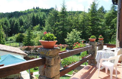 Agriturismo Biagiotti - Foto 50