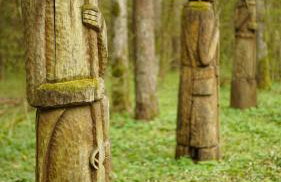 Maciejówka Borki 33 - Foto 41