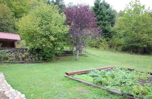 Les champstousnods - Foto 11