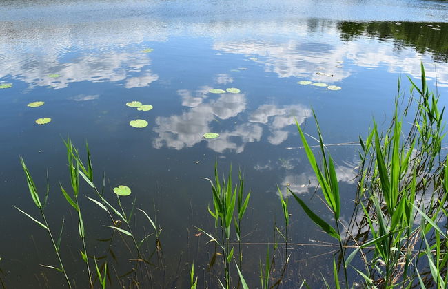 Ferienhaus am Garder See Inselblick - Foto 45