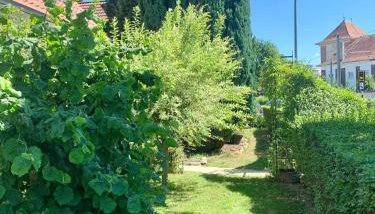 Lilo Luisa - Photo 5, Garden view