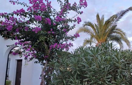 Casa Poema Montepego - Foto 25