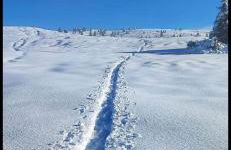 Wuthering Heights - Foto 65