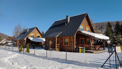 Bieszczadzka Ostoja - całoroczne domy na wynajem w Kalnicy - Foto 3