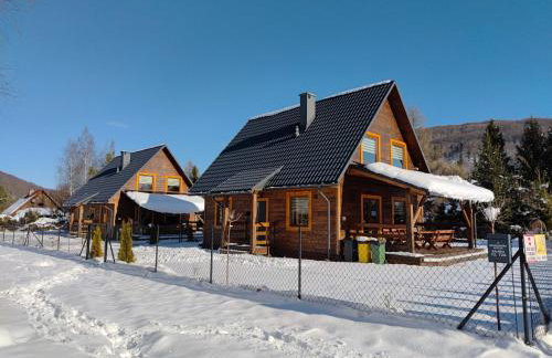 Bieszczadzka Ostoja - całoroczne domy na wynajem w Kalnicy - Foto 3