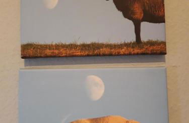 Das Koogsbauernhaus - Foto 75