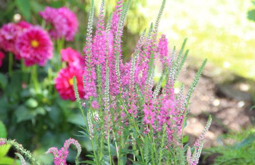 Ferienhof Zum Sagschneider - Foto 29