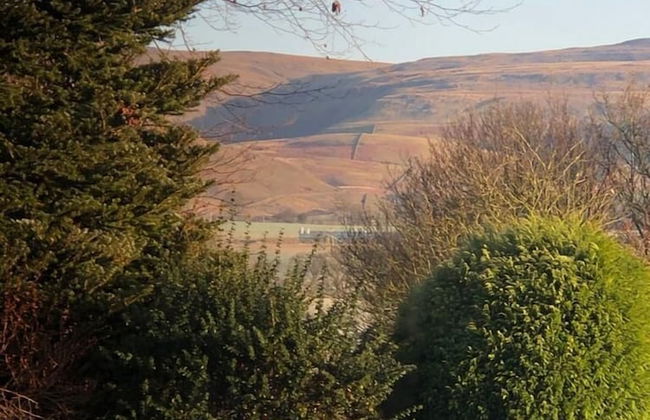 The New Inn 1730 - Foto 27