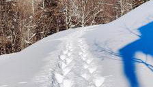 La casetta di Diego - Foto 2