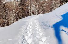 La casetta di Diego - Foto 2