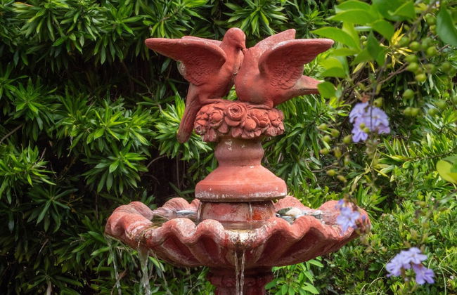 The Old Sugar Mill Country Escape in Paradise - Foto 29