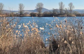 Ferienwohnung Jasmin - Photo 27