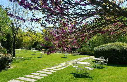 Tenuta i Massini - Foto 64