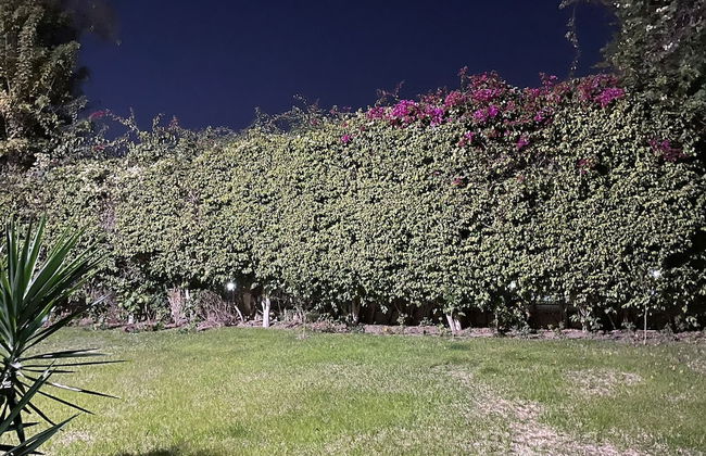 Beverly hills villa with garden - Foto 73