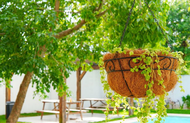 Casa Apolinar I Selvanova I Pool - Photo 31