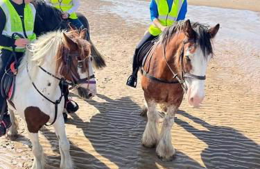 Holiday House Kinveachy - Foto 41