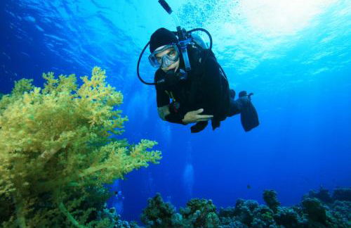 Apartment Buena Vista - Foto 41