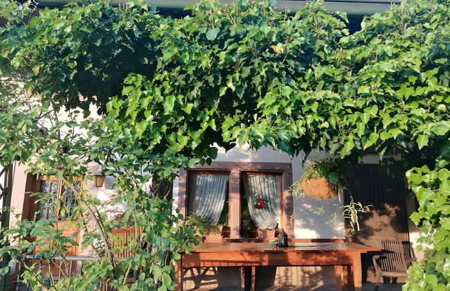 Holiday Apartment Cherry Blossom - Photo 12