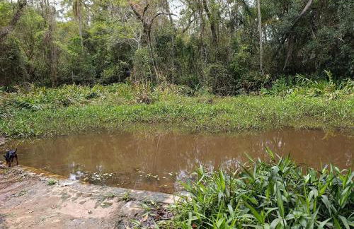 Container na natureza - Foto 12