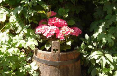 Winzeranwesen - Weingut Christian Eberley - Haupthaus I MINDESTAUFENTHALT 4 NÄCHTE - MINIMUM STAY 4 NIGHTS - Foto 11