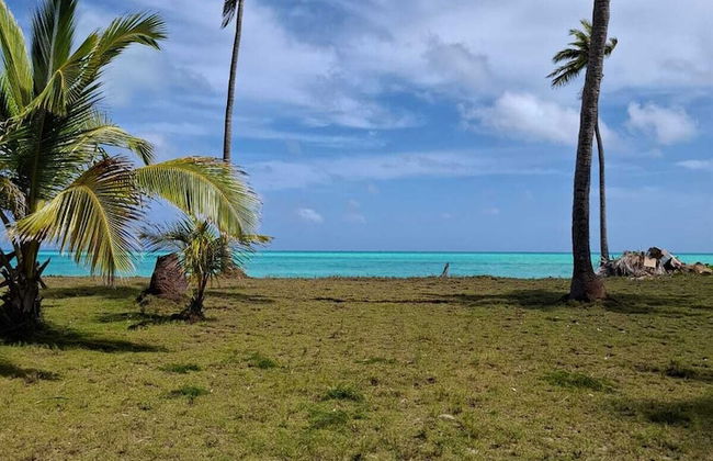 Alvira's Place - Foto 40